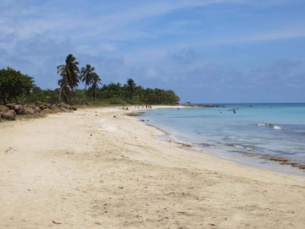 Paraiso Beach Hotel Brig Bay Ngoại thất bức ảnh